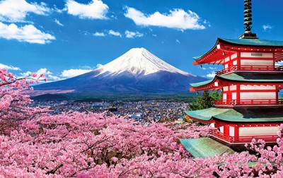 Bí quyết du lịch Nhật Bản từ hướng dẫn viên địa phương