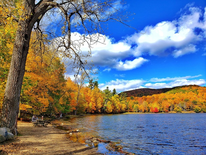 Say đắm vẻ đẹp mùa thu thay lá ở vùng trời Bắc Mỹ