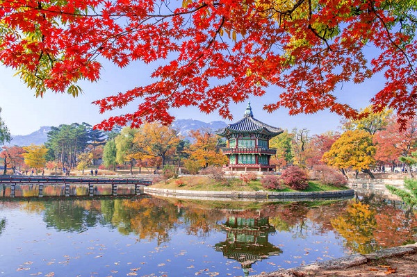 Lý do bạn nên đi du lịch Hàn Quốc mùa thu