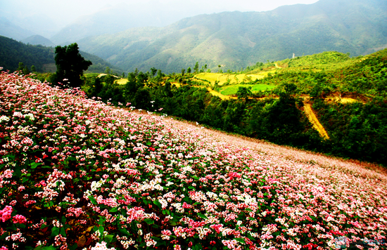 HÀ NỘI - HÀ GIANG - QUẢN BẠ -ĐỒNG VĂN - LŨNG CÚ - HD - MB05 5